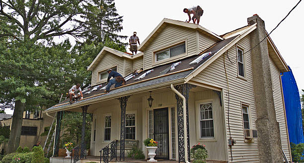Best Storm Damage Roof Repair  in Remlap, AL